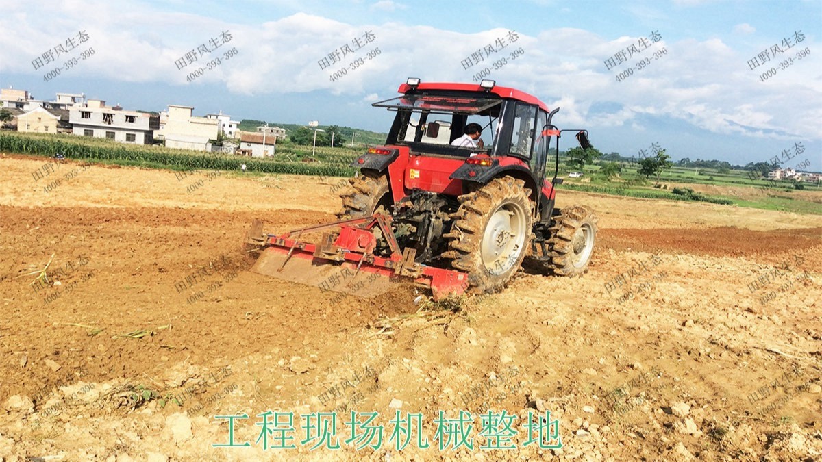 廣州番禺農(nóng)業(yè)大觀園景觀花海 廣州番禺農(nóng)業(yè)大觀園景觀花海