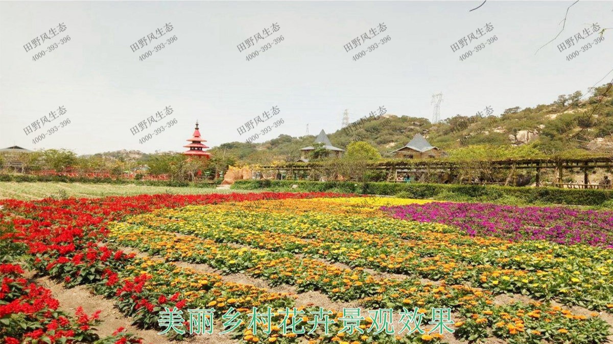 廣東梅州美麗鄉(xiāng)村工程 廣東梅州美麗鄉(xiāng)村工程