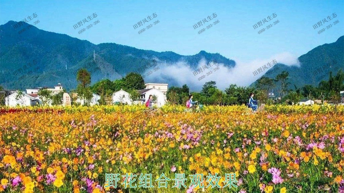 江西贛州美麗鄉(xiāng)村景觀工程 江西贛州美麗鄉(xiāng)村景觀工程