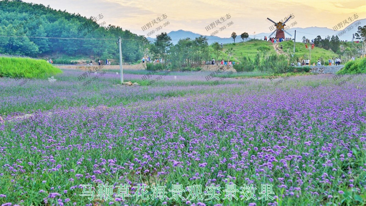 江西贛州美麗鄉(xiāng)村景觀工程 江西贛州美麗鄉(xiāng)村景觀工程