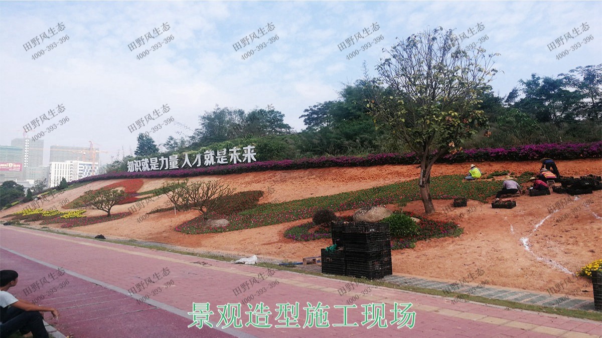 廣州黃埔九龍大道市政花海設(shè)計(jì)園林工程 廣州黃埔九龍大道市政花海設(shè)計(jì)園林工程