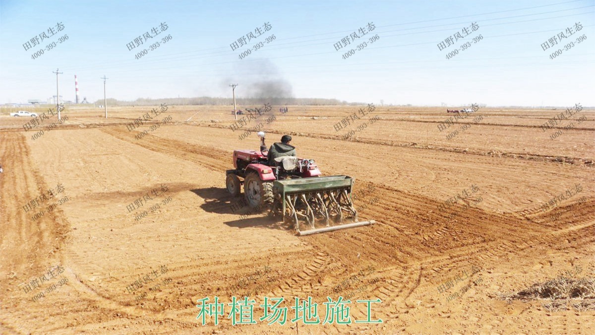 廣東丹霞山國(guó)家森林公園花海工程 廣東丹霞山國(guó)家森林公園花海工程