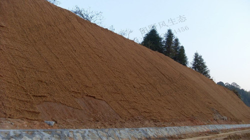 濟(jì)廣高速平遠(yuǎn)段高速公路邊坡復(fù)綠工程 濟(jì)廣高速平遠(yuǎn)段高速公路邊坡復(fù)綠工程