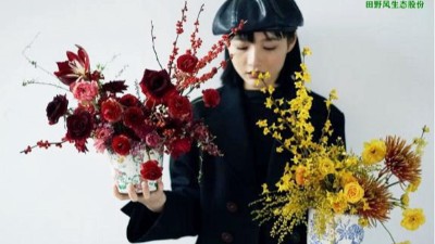 2021年宵花怎么選？這些絕對(duì)是你想要的！