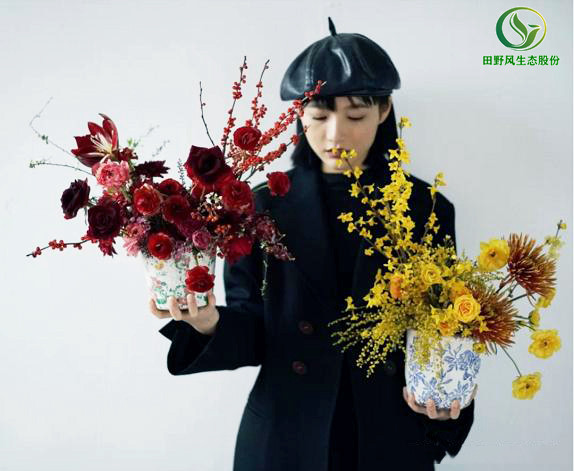 中國臘梅 中國臘梅