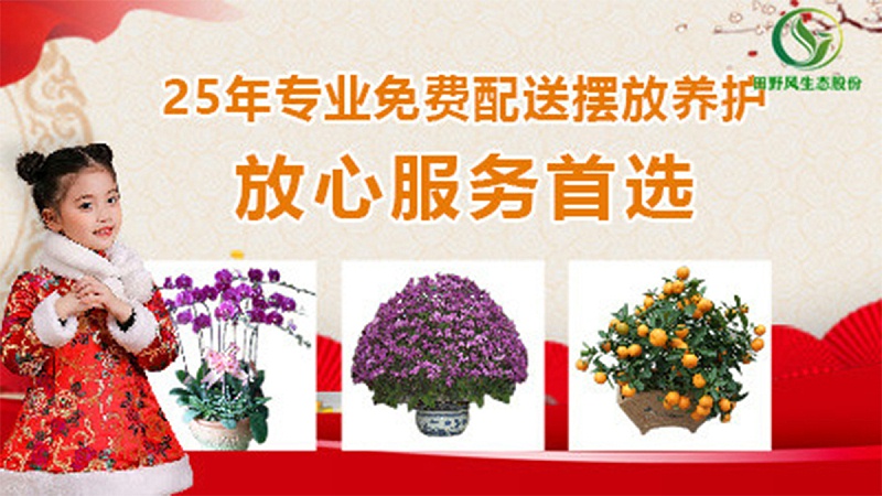 年花預(yù)購 年花預(yù)購