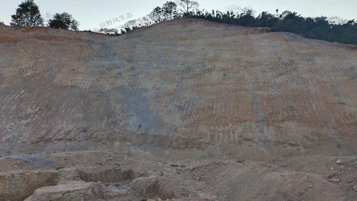 農(nóng)場(chǎng)科技邊坡復(fù)綠工程現(xiàn)場(chǎng) 農(nóng)場(chǎng)科技邊坡復(fù)綠工程現(xiàn)場(chǎng)