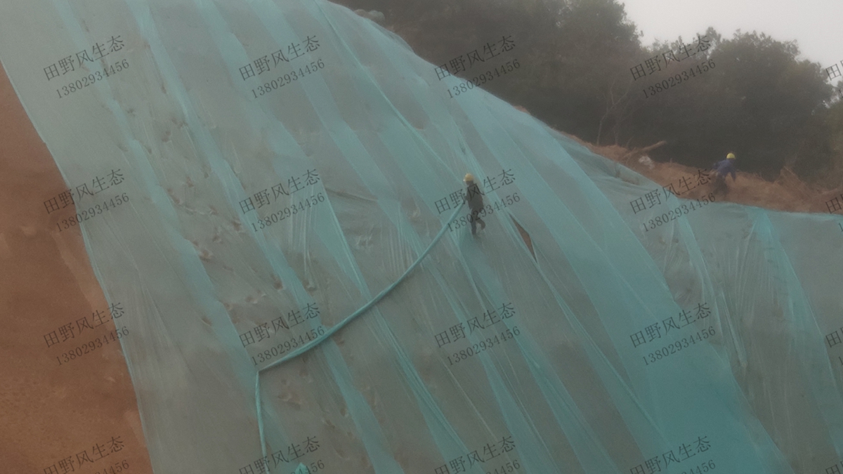 蓋無紡布 蓋無紡布