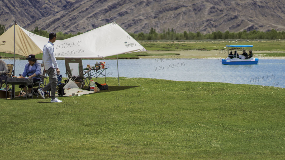 狗牙根草籽 狗牙根草籽