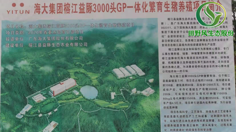 榕江邊坡復(fù)綠項(xiàng)目工程 榕江邊坡復(fù)綠項(xiàng)目工程