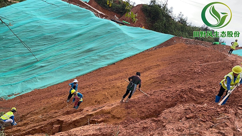 榕江邊坡復(fù)綠工程 榕江邊坡復(fù)綠工程