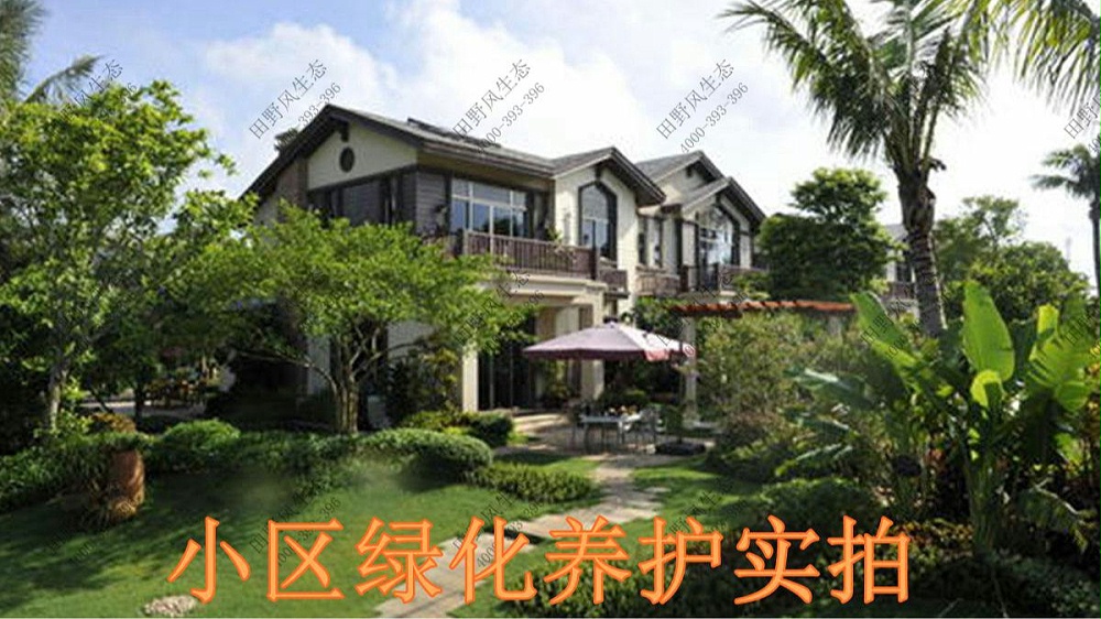 廣東碧桂園植物養(yǎng)護(hù)案例 廣東碧桂園植物養(yǎng)護(hù)案例