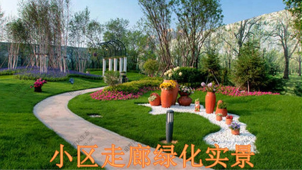 廣東碧桂園植物養(yǎng)護(hù)案例 廣東碧桂園植物養(yǎng)護(hù)案例