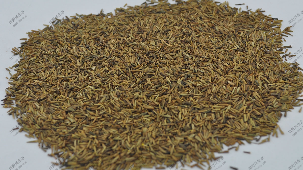 花?；ɑ芊N子,觀葉植物花種