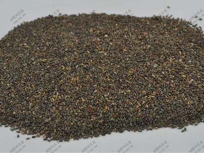 鼠尾草花?；ɑ芊N子產(chǎn)品介紹