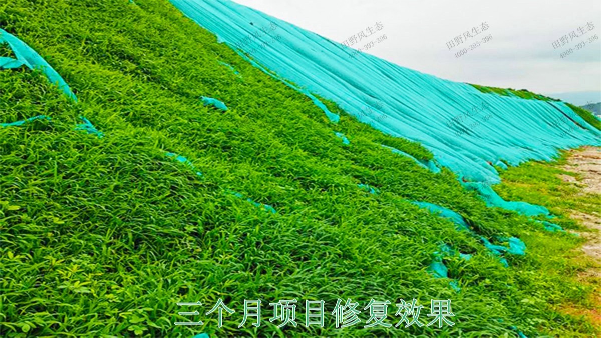 回龍工業(yè)園坡面噴播工程 回龍工業(yè)園坡面噴播工程