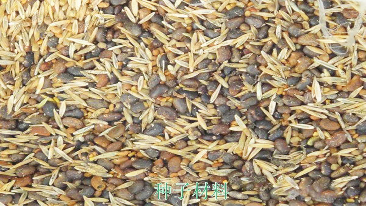 連平縣工業(yè)園區(qū)邊坡綠化 連平縣工業(yè)園區(qū)邊坡綠化