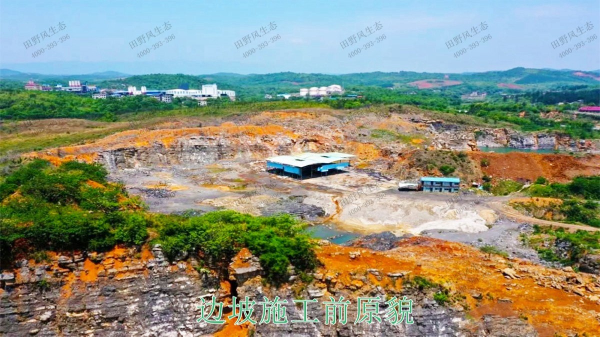 河源江東工業(yè)園邊坡復(fù)綠工程 河源江東工業(yè)園邊坡復(fù)綠工程