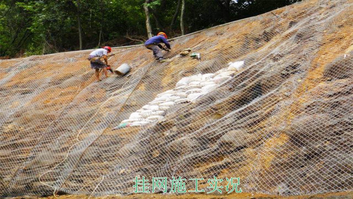 新豐縣工業(yè)園區(qū)復(fù)綠工程 新豐縣工業(yè)園區(qū)復(fù)綠工程