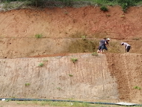 從莞高速公路邊坡復(fù)綠 從莞高速公路邊坡復(fù)綠