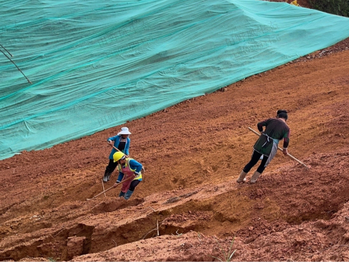 從莞高速公路邊坡復(fù)綠 從莞高速公路邊坡復(fù)綠