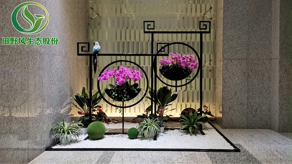 田野風花木租擺 田野風花木租擺