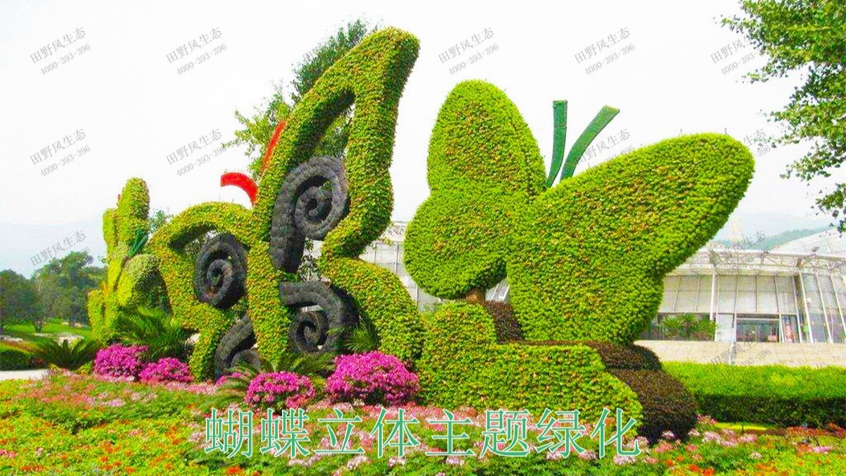 廣西南寧市政立體綠化工程 廣西南寧市政立體綠化工程