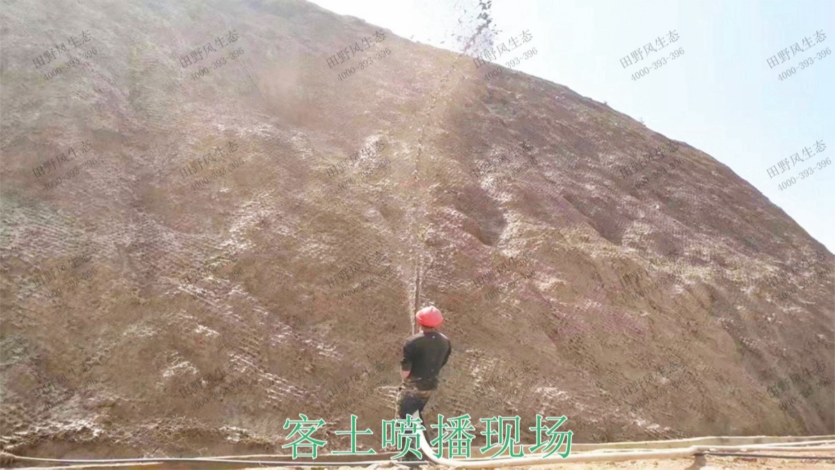 陽山白云巖礦護坡復綠尾礦工程 陽山白云巖礦護坡復綠尾礦工程