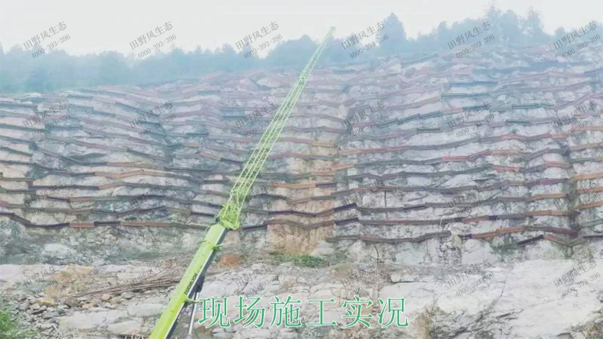 陽山白云巖礦護坡復綠尾礦工程 陽山白云巖礦護坡復綠尾礦工程