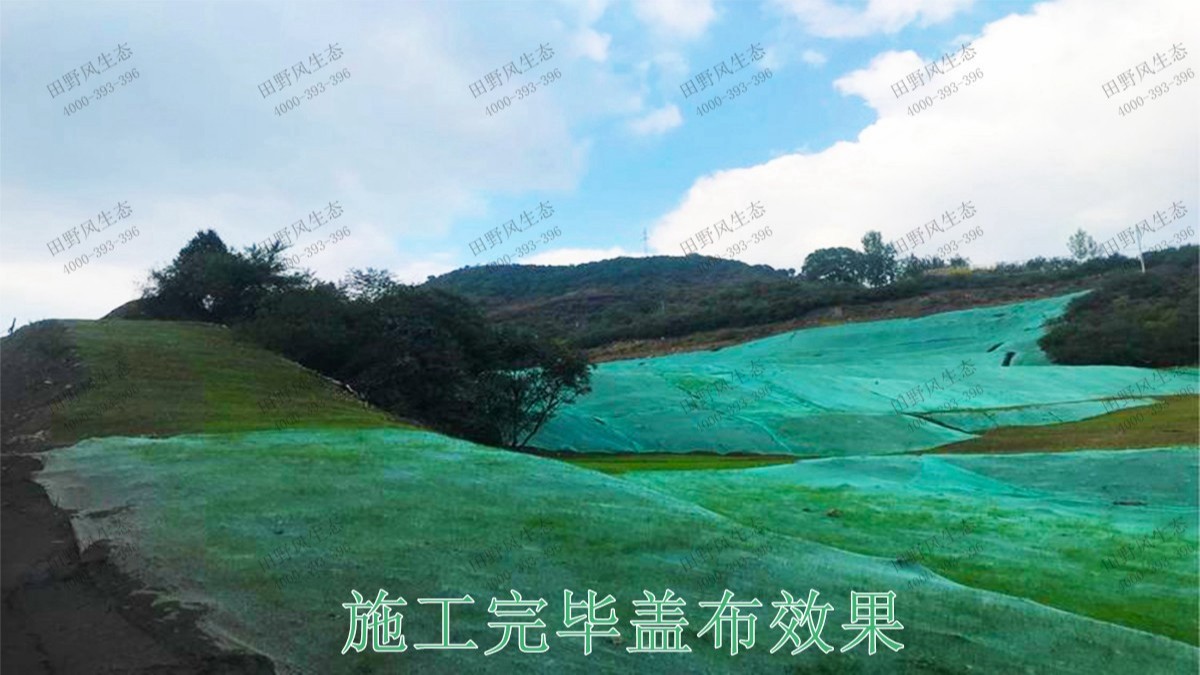 陽山白云巖礦護坡復綠尾礦工程 陽山白云巖礦護坡復綠尾礦工程