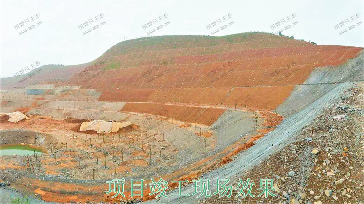 陽山白云巖礦護坡復綠尾礦工程 陽山白云巖礦護坡復綠尾礦工程