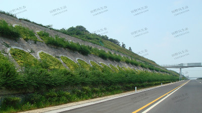 邊坡綠化對植物的選擇原則，有哪些植物推薦？