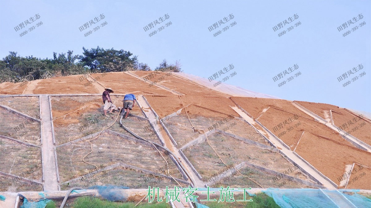 貴廣高鐵廣東段高鐵路邊坡噴草 貴廣高鐵廣東段高鐵路邊坡噴草