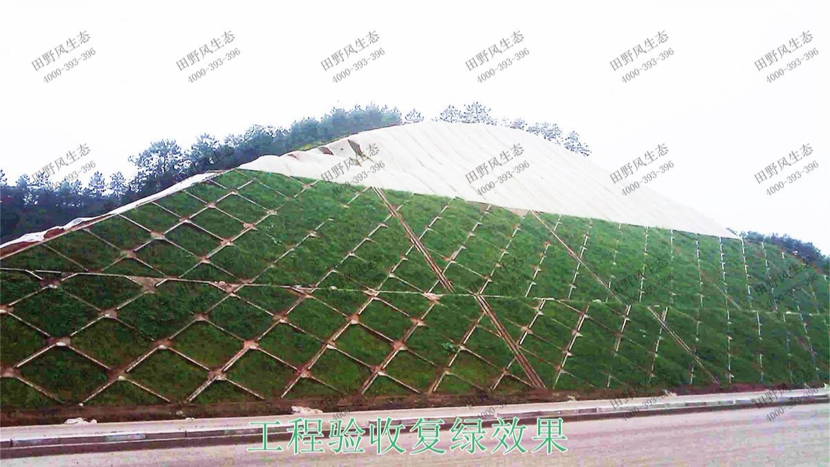 梅汕高鐵潮汕段鐵路邊坡修復(fù)工程 梅汕高鐵潮汕段鐵路邊坡修復(fù)工程