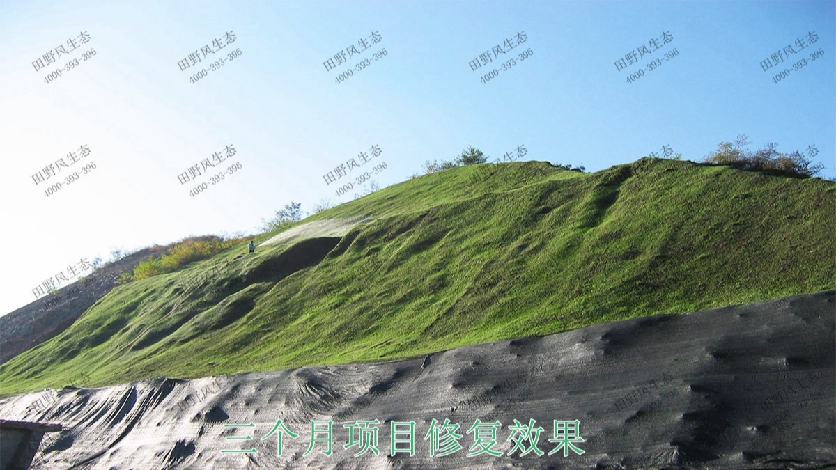 梅汕高鐵潮汕段鐵路邊坡修復(fù)工程 梅汕高鐵潮汕段鐵路邊坡修復(fù)工程