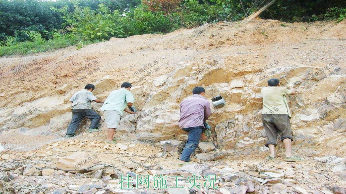 福建龍巖鐵礦山邊坡復(fù)綠 福建龍巖鐵礦山邊坡復(fù)綠