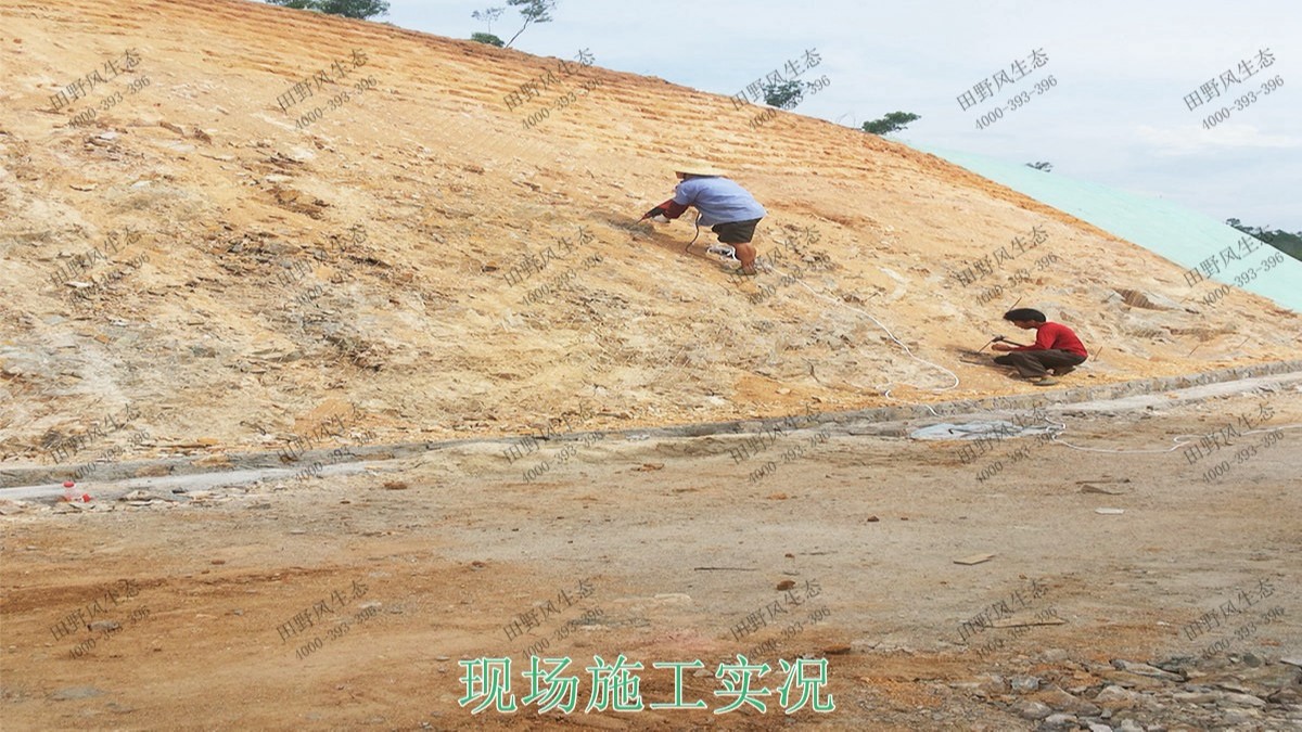 清遠(yuǎn)界牌石場(chǎng)礦山邊坡噴草 清遠(yuǎn)界牌石場(chǎng)礦山邊坡噴草