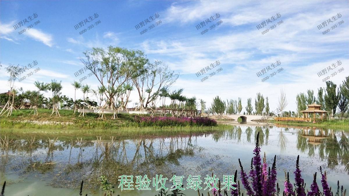 廣州黃埔九龍涌河道邊坡復綠 廣州黃埔九龍涌河道邊坡復綠