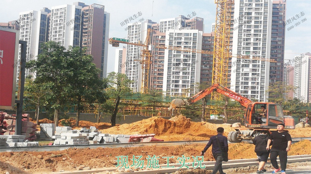 廣州黃埔九龍涌河道邊坡復綠 廣州黃埔九龍涌河道邊坡復綠