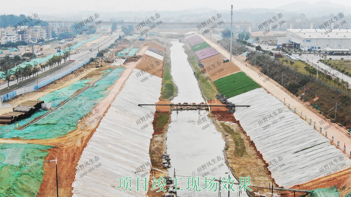 廣州黃埔九龍涌河道邊坡復綠 廣州黃埔九龍涌河道邊坡復綠