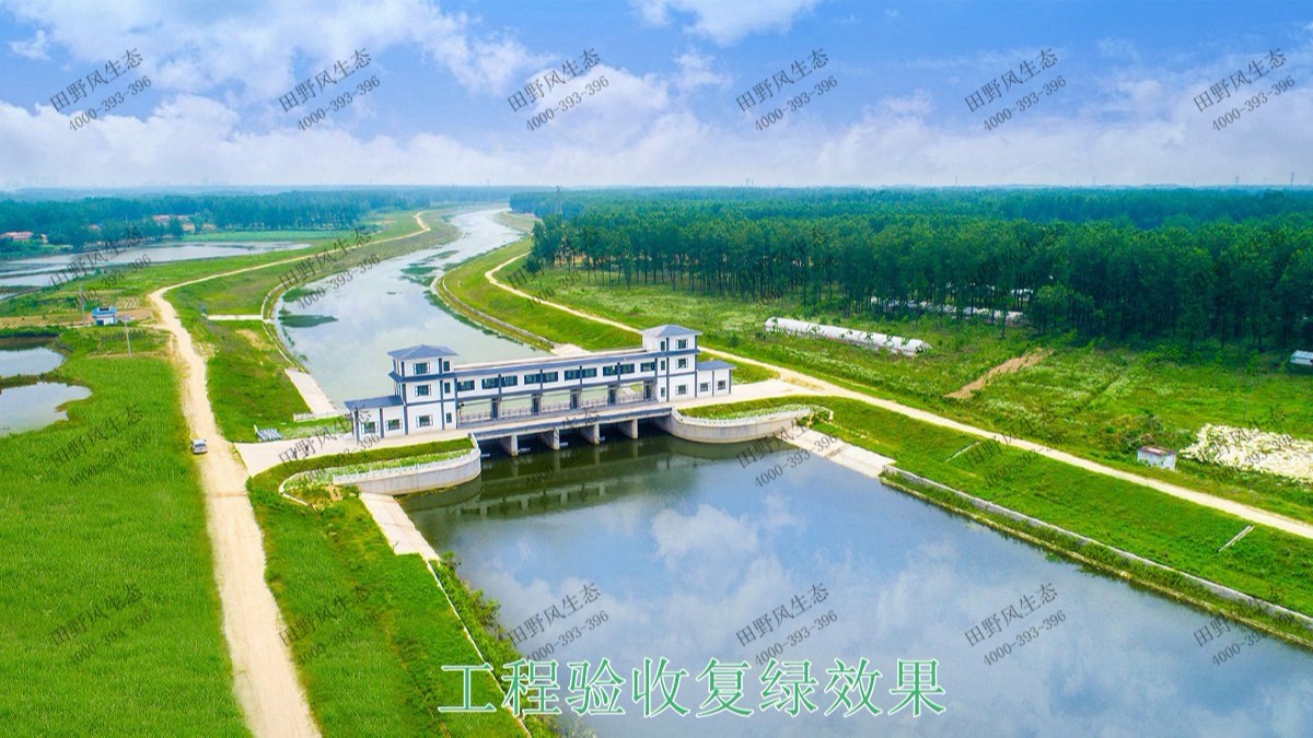 廣州黃埔九龍涌河道邊坡復綠 廣州黃埔九龍涌河道邊坡復綠