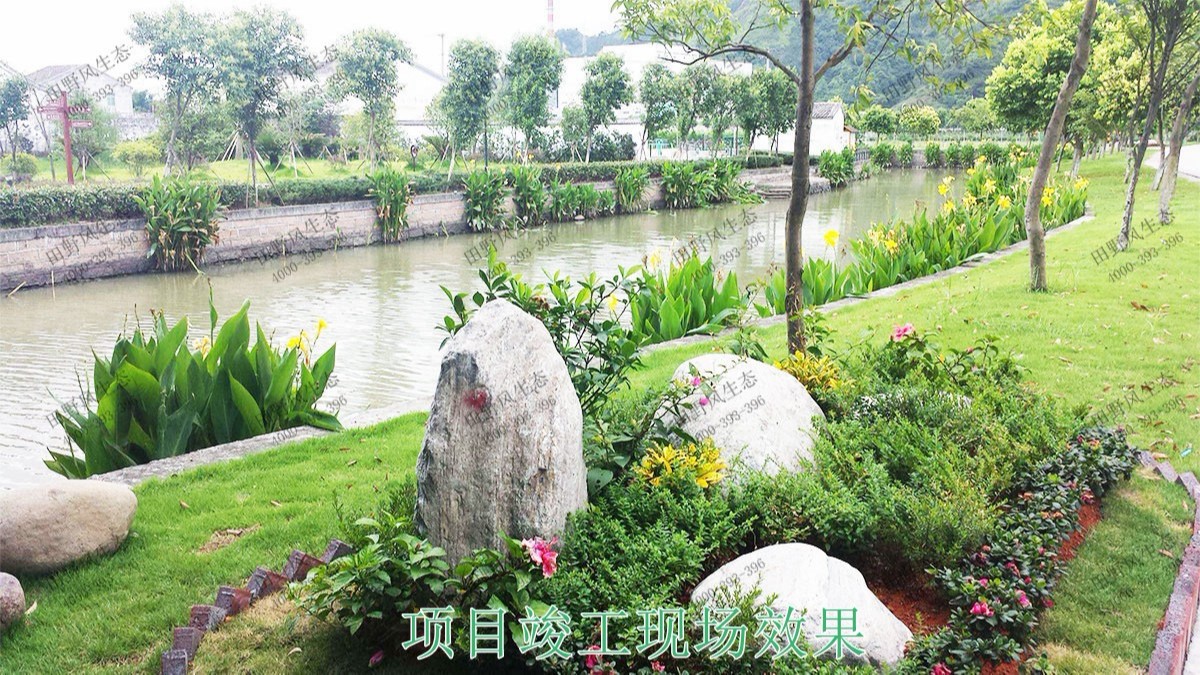 深圳茅洲河生態(tài)河道邊坡噴草 深圳茅洲河生態(tài)河道邊坡噴草