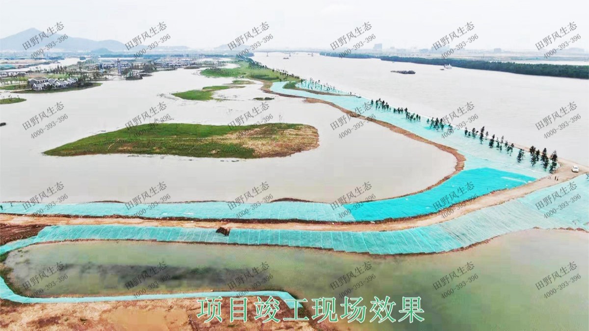 中山翠享濕地公園河道邊坡植草 中山翠享濕地公園河道邊坡植草