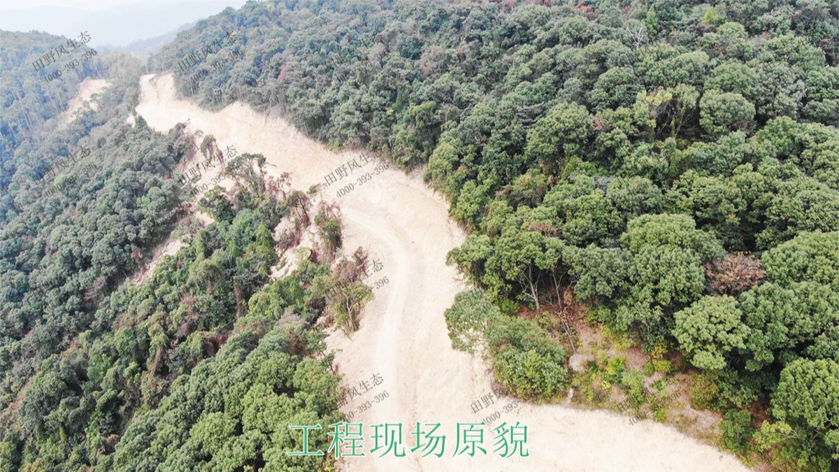 廣州白水山森林公園生態(tài)修復 廣州白水山森林公園生態(tài)修復
