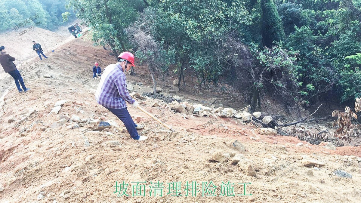 廣州白水山森林公園生態(tài)修復 廣州白水山森林公園生態(tài)修復