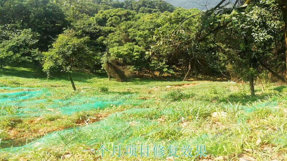 廣州白水山森林公園生態(tài)修復 廣州白水山森林公園生態(tài)修復