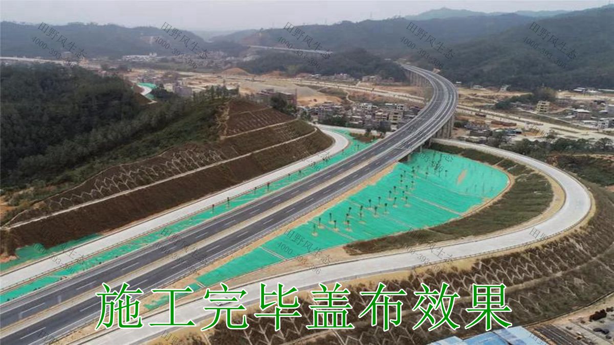 邊坡復(fù)綠 邊坡復(fù)綠