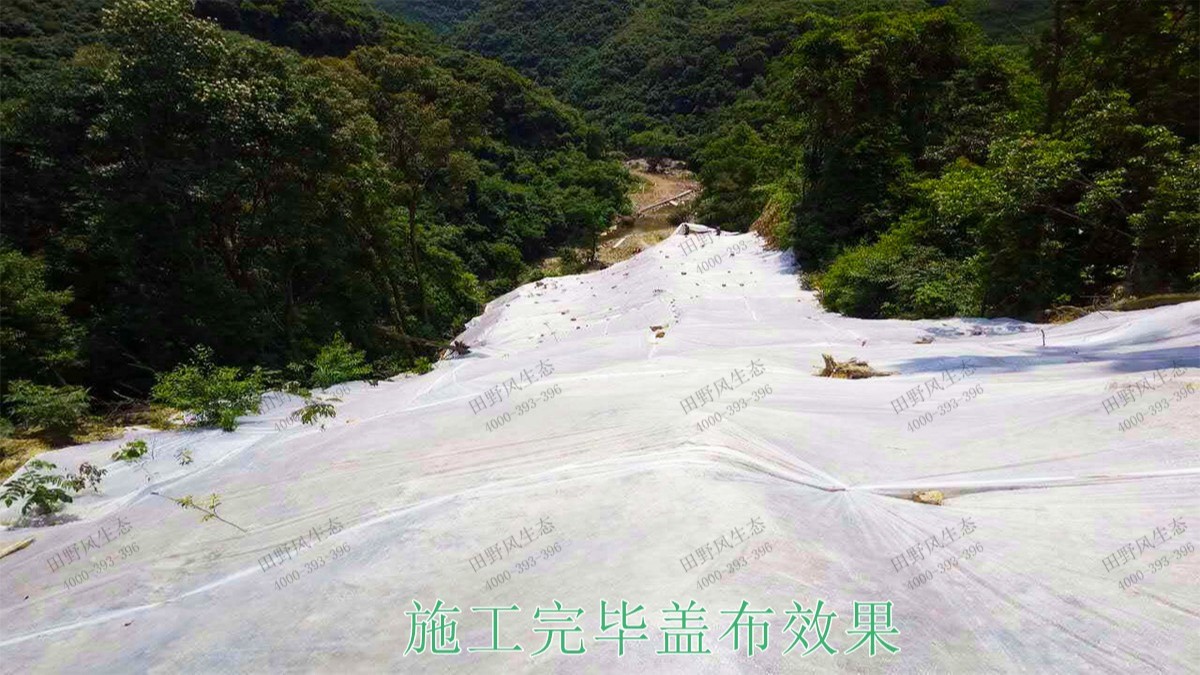 廣東高棖鉛鋅礦采石場邊坡復(fù)綠工程 廣東高棖鉛鋅礦采石場邊坡復(fù)綠工程