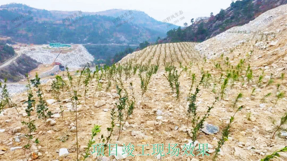廣東高棖鉛鋅礦采石場邊坡復(fù)綠工程 廣東高棖鉛鋅礦采石場邊坡復(fù)綠工程