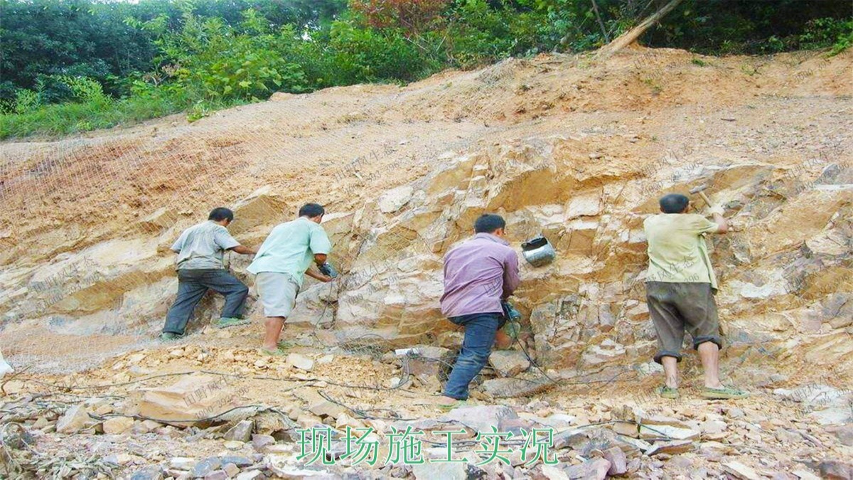 高州市泗水鎮(zhèn)林豐石場(chǎng)生態(tài)修復(fù)工程 高州市泗水鎮(zhèn)林豐石場(chǎng)生態(tài)修復(fù)工程